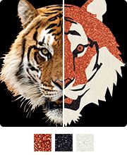 Vinyl Heat Transfer