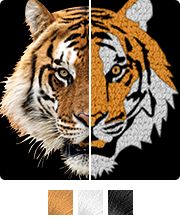 Chenille Patch