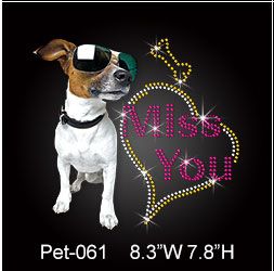 jack-russel-terrier-miss-you