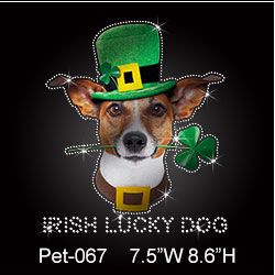reflective-irish-lucky-dog