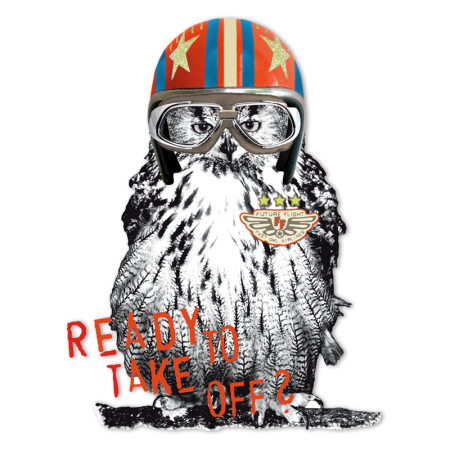 Ready To Take Off Pilot Owl Hot Fix Heat Transfer Vinyl for T-shirt