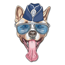 Sunglasses Dog Heat Transfer Vinyl