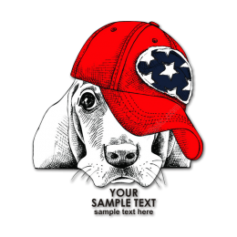 Quietly Lying Dog in Red Hat Heat Transfer Vinyl