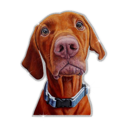 Vizsla Hunting Dog Transfer Vinyl