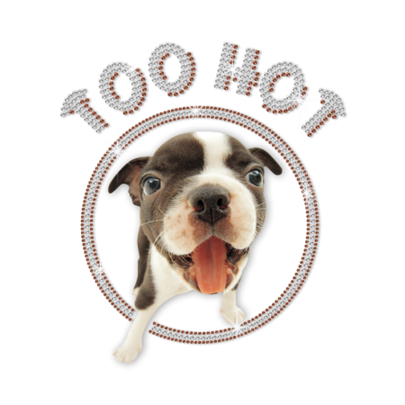Customized Too Hot Bulldog Crystal Motif for ISS