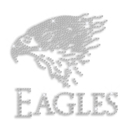 Bright Eagle with Word Ironon Rhinestone Design for Clothes