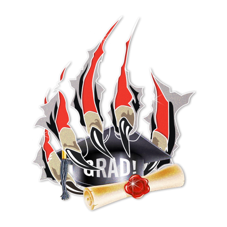 Glitter Scratch Grad Iron on Motif