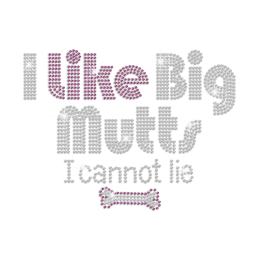 I Like Big Butts I Cannot Lie Iron on Rhinestone Transfer