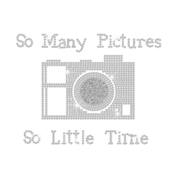 So Many Pictures & So Little Time Iron on Rhinestone Transfer