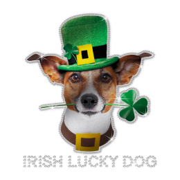 ISS Reflective Irish Lucky Dog Rhinestone Design