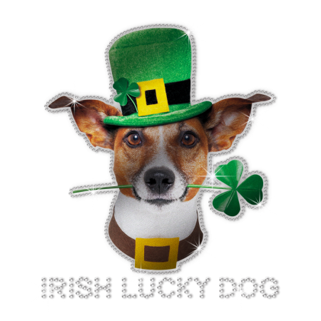 ISS Reflective Irish Lucky Dog Rhinestone Design