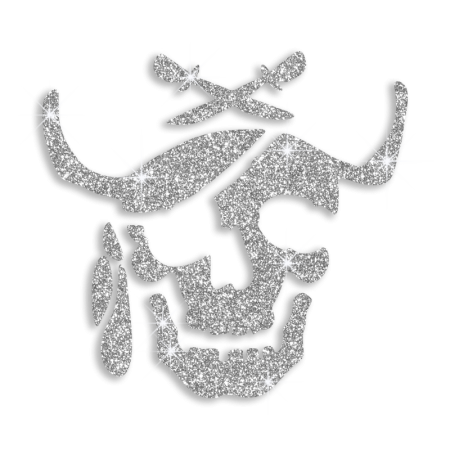 Glitter Motif Design Iron on Skull for Clothing