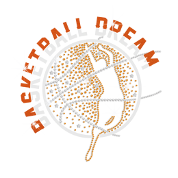 Customized Basketball Dream Iron on Flock Rhinestone Transfer Motif