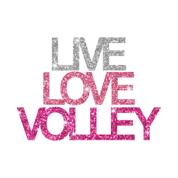 Pink Live Love Volleyball Iron on Glitter Transfer