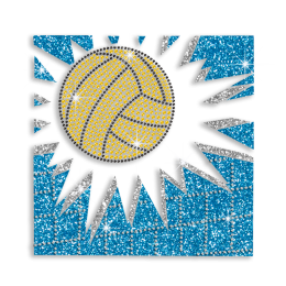 Custom Volleyball with Net Iron on Rhinestone Transfer