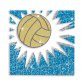 Custom Volleyball with Net Iron on Rhinestone Transfer