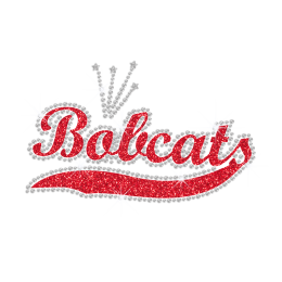 Charlotte Bobcats Iron-on Glitter Rhinestone Transfer