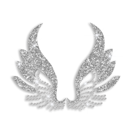 Pretty Silver Wing Iron on Glitter Rhinestone Transfer