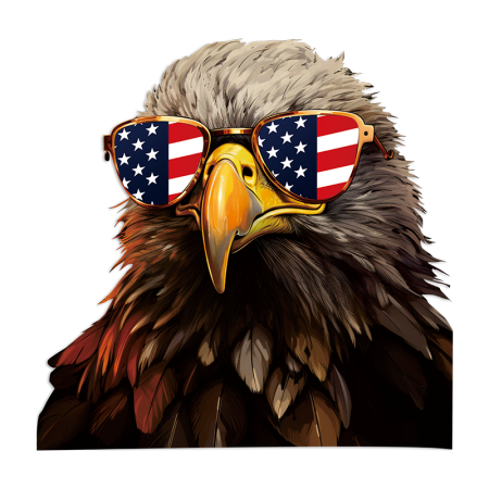 Eagle With Glasses Print Vinyl Iron Ons - CSTOWN