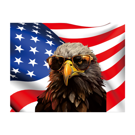 Eagle With American Flag Printable Vinyl Iron On Prints