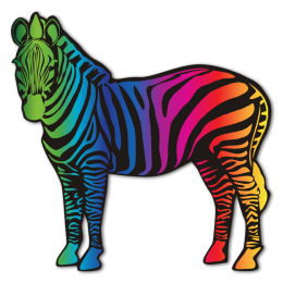 Magic Show Rainbow Zebra Printable Flock Heat Transfer for T-Shirts