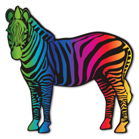 Magic Show Rainbow Zebra Printable Flock Heat Transfer for T-Shirts