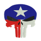 Patriotic Punisher Skull Canvas Embroidery