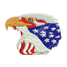 Eagle Flag Jean Jacket Embroidery Patches