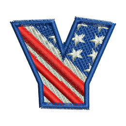 Star Spangled Letter Y Embroidery On Jeans