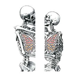 Lovers Skeletons with Butterfly Rhinestone & PU Heat Transfer