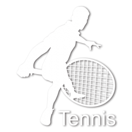 Printable Vinyl Tennis Custom Hot Press Transfer for Clothes