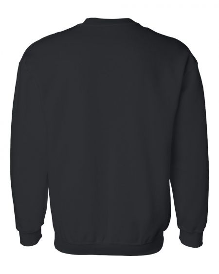 21260-back