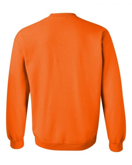 21060-back