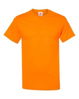 Hanes-Ecosmart™ Short Sleeve T-Shirt-5170