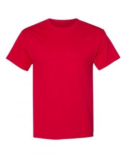 Hanes-Ecosmart™ Short Sleeve T-Shirt-5170