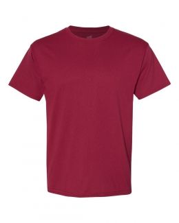 Hanes-Ecosmart™ Short Sleeve T-Shirt-5170