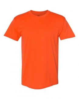 Hanes-Ecosmart™ Short Sleeve T-Shirt-5170