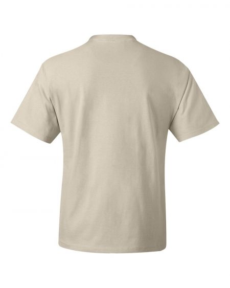 01500-back