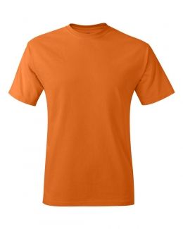 Hanes-ComfortSoft® Tagless® Short Sleeve T-Shirt-5250