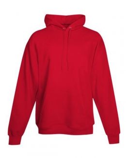 Hanes-Ecosmart® Hooded Sweatshirt-P170