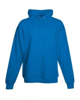 Hanes-Ecosmart® Hooded Sweatshirt-P170