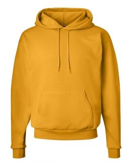 Hanes-Ecosmart® Hooded Sweatshirt-P170