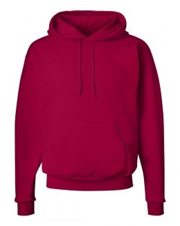 Hanes-Ecosmart® Hooded Sweatshirt-P170