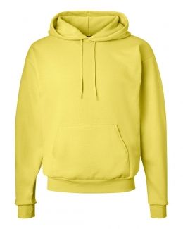 Hanes-Ecosmart® Hooded Sweatshirt-P170