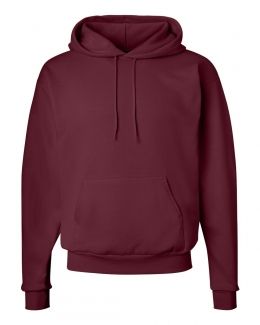 Hanes-Ecosmart® Hooded Sweatshirt-P170