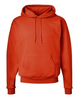 Hanes-Ecosmart® Hooded Sweatshirt-P170