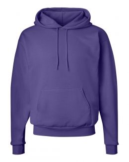 Hanes-Ecosmart® Hooded Sweatshirt-P170