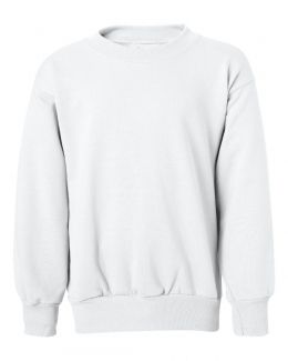 Hanes-Ecosmart® Youth Crewneck Sweatshirt-P360