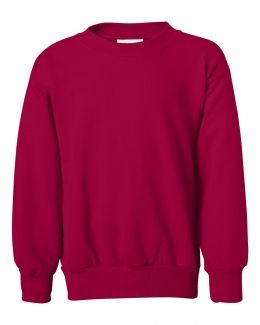 Hanes-Ecosmart® Youth Crewneck Sweatshirt-P360