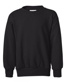 Hanes-Ecosmart® Youth Crewneck Sweatshirt-P360